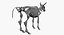 Animal Skeleton 9 in 1