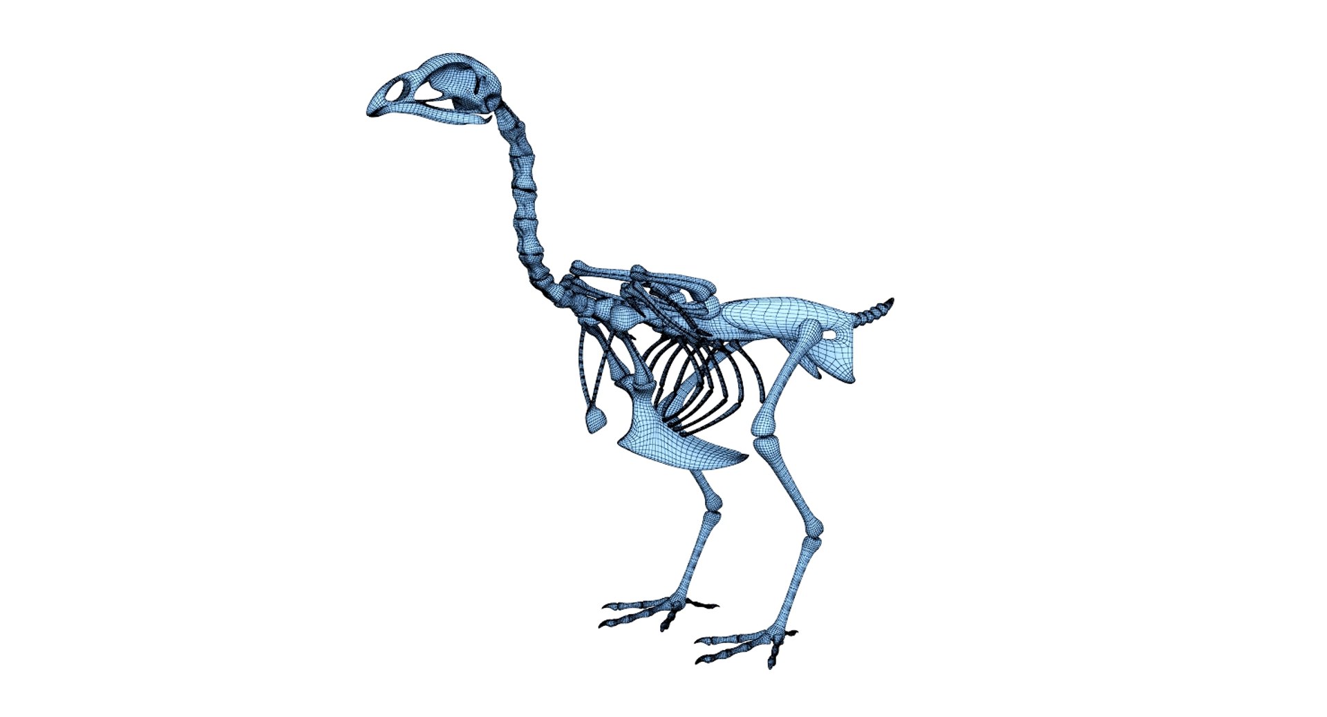 3D 9 armadillo bison https://p.turbosquid.com/ts-thumb/Qt/bouK5S/UW9E66l2/net2/jpg/1547136620/1920x1080/fit_q87/bf1fc2a939e49564afba3e35e6887efcf69ada57/net2.jpg