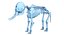 Animal Skeleton 9 in 1