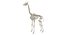 Animal Skeleton 9 in 1
