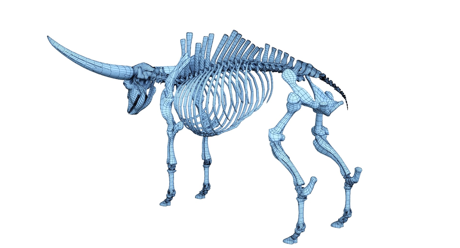 3D 9 armadillo bison https://p.turbosquid.com/ts-thumb/Qt/bouK5S/XS4PiS4p/ne3/jpg/1547136577/1920x1080/fit_q87/a57b2075a602b59680e92a2fd09bca62ee53f40e/ne3.jpg