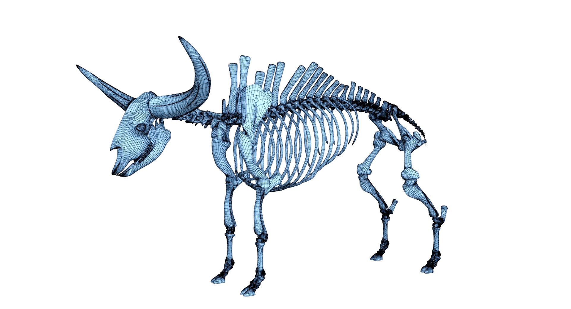 3D 9 armadillo bison https://p.turbosquid.com/ts-thumb/Qt/bouK5S/YUTtooMQ/ne1/jpg/1547136577/1920x1080/fit_q87/9cb1ccaf0bcb800538866b72406081d1c6ee5e0d/ne1.jpg