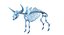 Animal Skeleton 9 in 1
