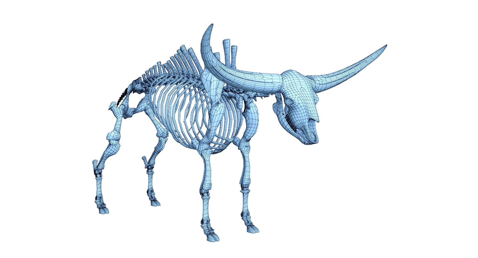 3D 9 armadillo bison https://p.turbosquid.com/ts-thumb/Qt/bouK5S/afo9F5Ro/ne7/jpg/1547136577/1920x1080/fit_q87/4fce53d49eb20386ae779ae2f210ca6ef4a34820/ne7.jpg