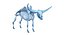 Animal Skeleton 9 in 1