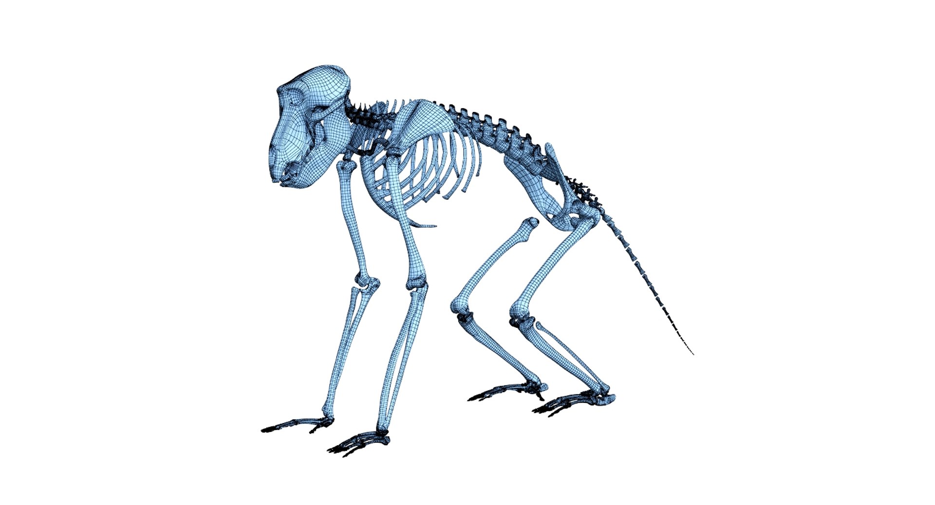 3D 9 armadillo bison https://p.turbosquid.com/ts-thumb/Qt/bouK5S/dkT2B3mC/net/jpg/1547136600/1920x1080/fit_q87/a468f9c1e5ccf956a52a2ada79579e36b21e2dbb/net.jpg