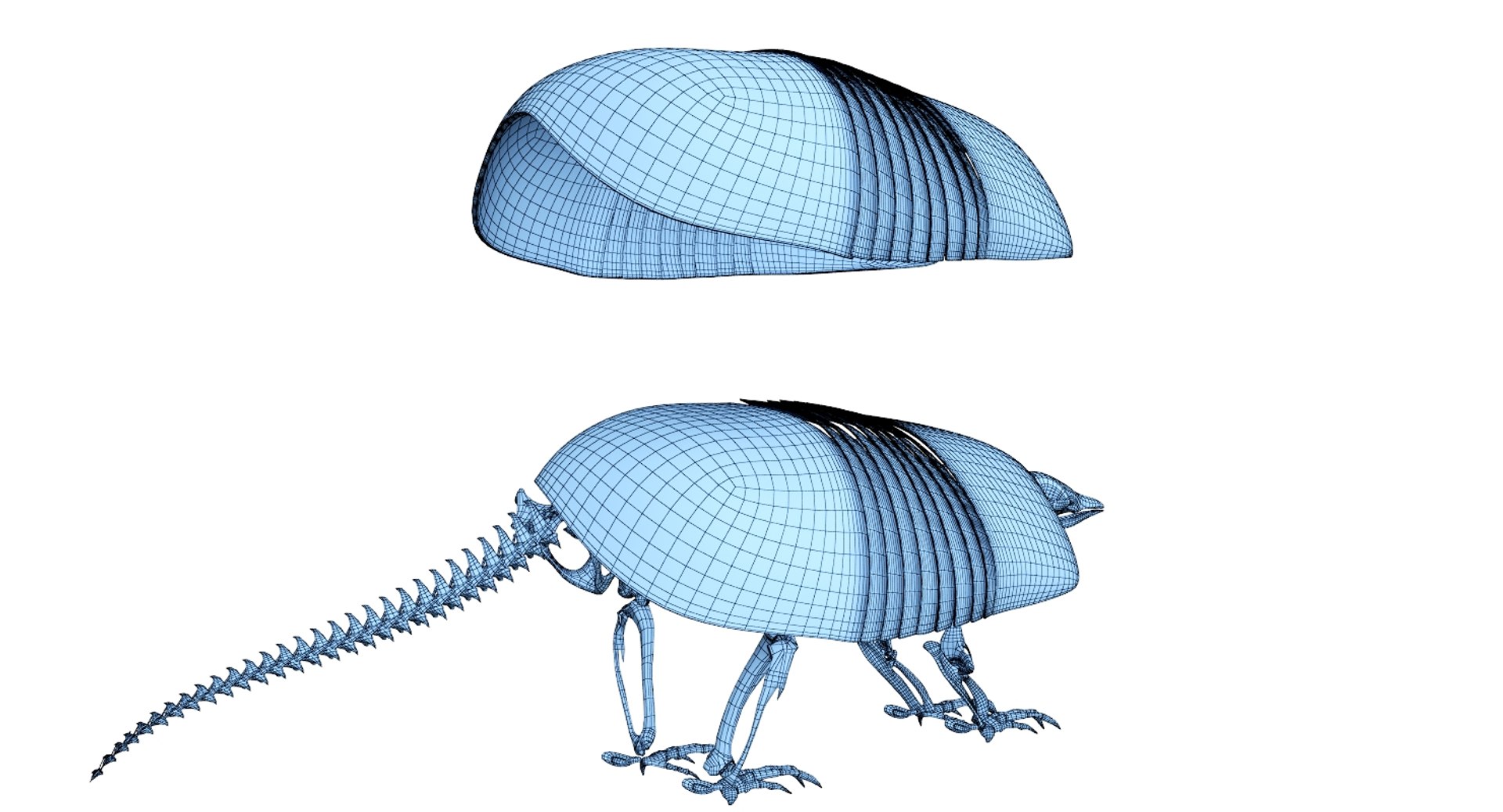 3D 9 armadillo bison https://p.turbosquid.com/ts-thumb/Qt/bouK5S/fq9GVdHc/net2/jpg/1547136541/1920x1080/fit_q87/d0baad85a981f605f8f9293df2c1a0a6e493deb2/net2.jpg