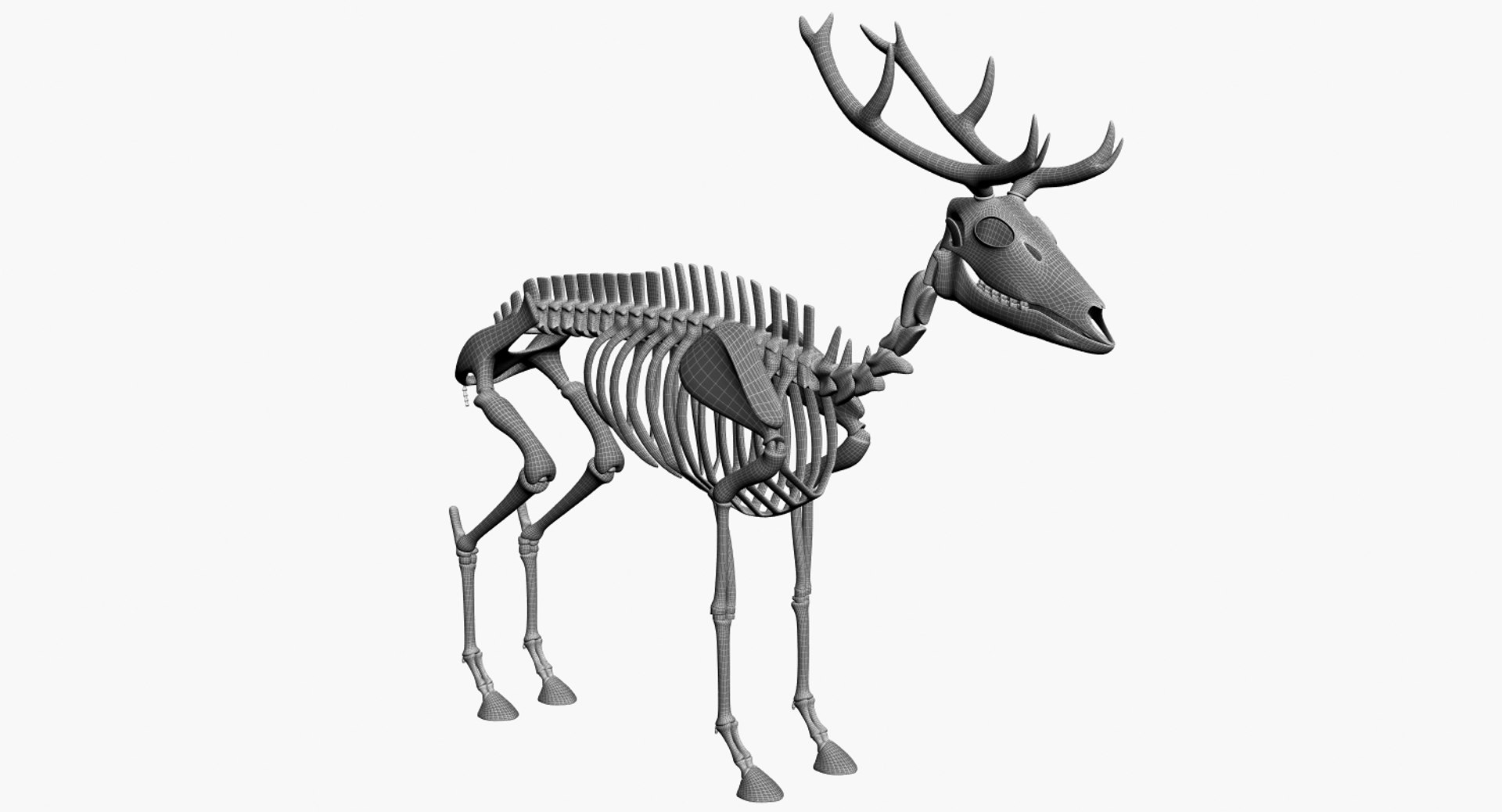 3D 9 armadillo bison https://p.turbosquid.com/ts-thumb/Qt/bouK5S/g1/h/jpg/1667381962/1920x1080/fit_q87/347dfb016d40a16545977c8de02982850b2caff8/h.jpg