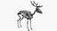 Animal Skeleton 9 in 1
