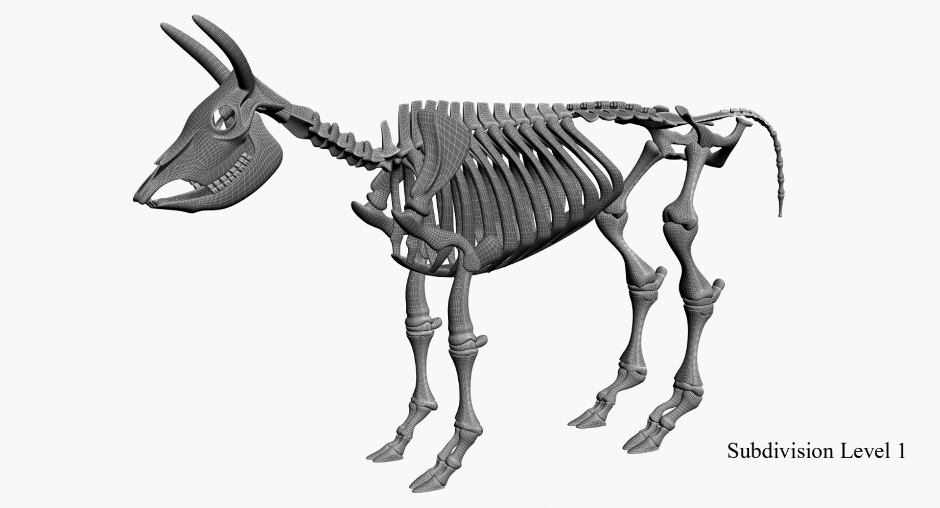 3D 9 armadillo bison https://p.turbosquid.com/ts-thumb/Qt/bouK5S/hR47HesB/1/jpg/1547136490/1920x1080/fit_q87/db8c6d9d0ee214f7842a54258dd2d1365a1341e3/1.jpg