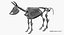 Animal Skeleton 9 in 1