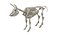 Animal Skeleton 9 in 1