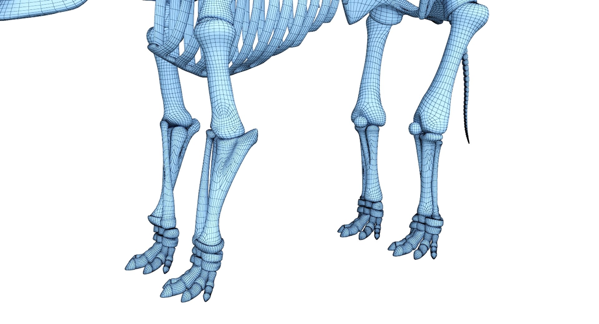 3D 9 armadillo bison https://p.turbosquid.com/ts-thumb/Qt/bouK5S/jAuae7Rb/net5/jpg/1547136511/1920x1080/fit_q87/cf88c3eb616fd3bfe57851289fac0f391e0f6d18/net5.jpg
