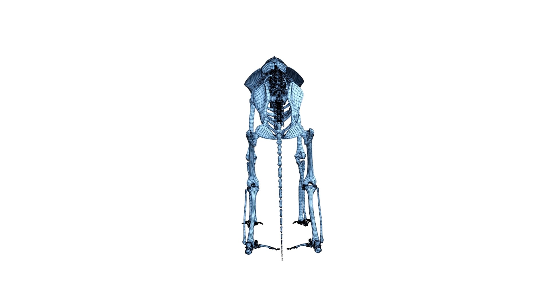3D 9 armadillo bison https://p.turbosquid.com/ts-thumb/Qt/bouK5S/jldwyEEC/net2/jpg/1547136600/1920x1080/fit_q87/a9660d4f22d5c53de7a64b4163ea03e03dc8e0e4/net2.jpg