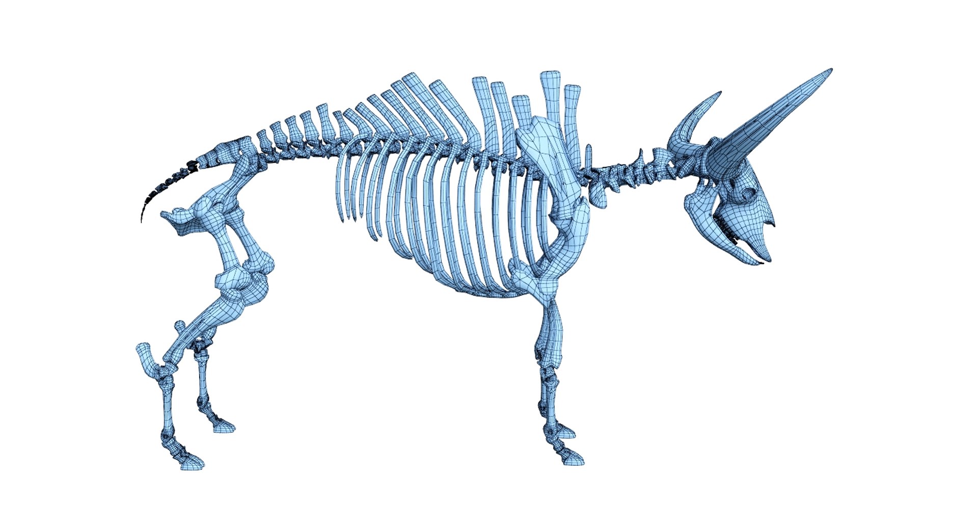3D 9 armadillo bison https://p.turbosquid.com/ts-thumb/Qt/bouK5S/nIM6FisI/ne6/jpg/1547136577/1920x1080/fit_q87/afed8075023184206eaab256b281b21265147fea/ne6.jpg