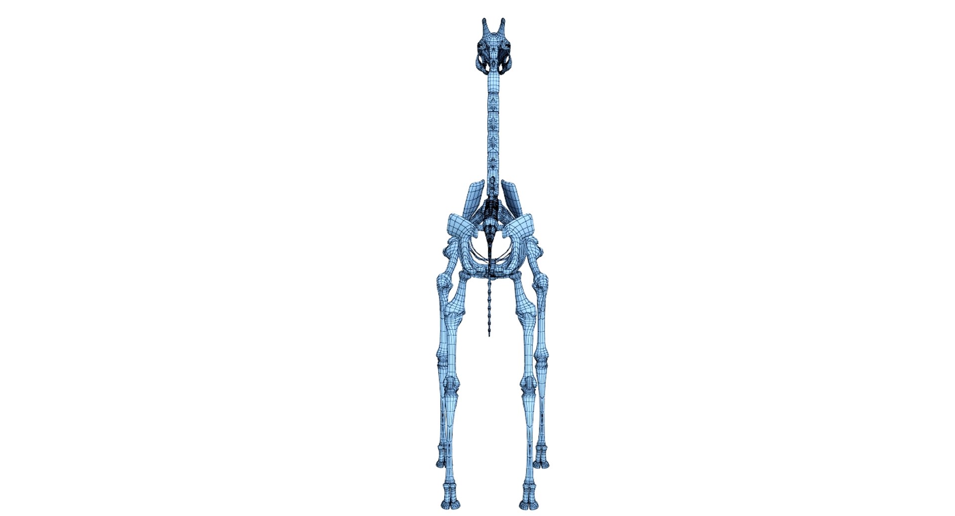 3D 9 armadillo bison https://p.turbosquid.com/ts-thumb/Qt/bouK5S/nYBpbgI5/net4/jpg/1547136522/1920x1080/fit_q87/63063fa1a9d193a37f580b4aaa96cd1fcf29bdcd/net4.jpg
