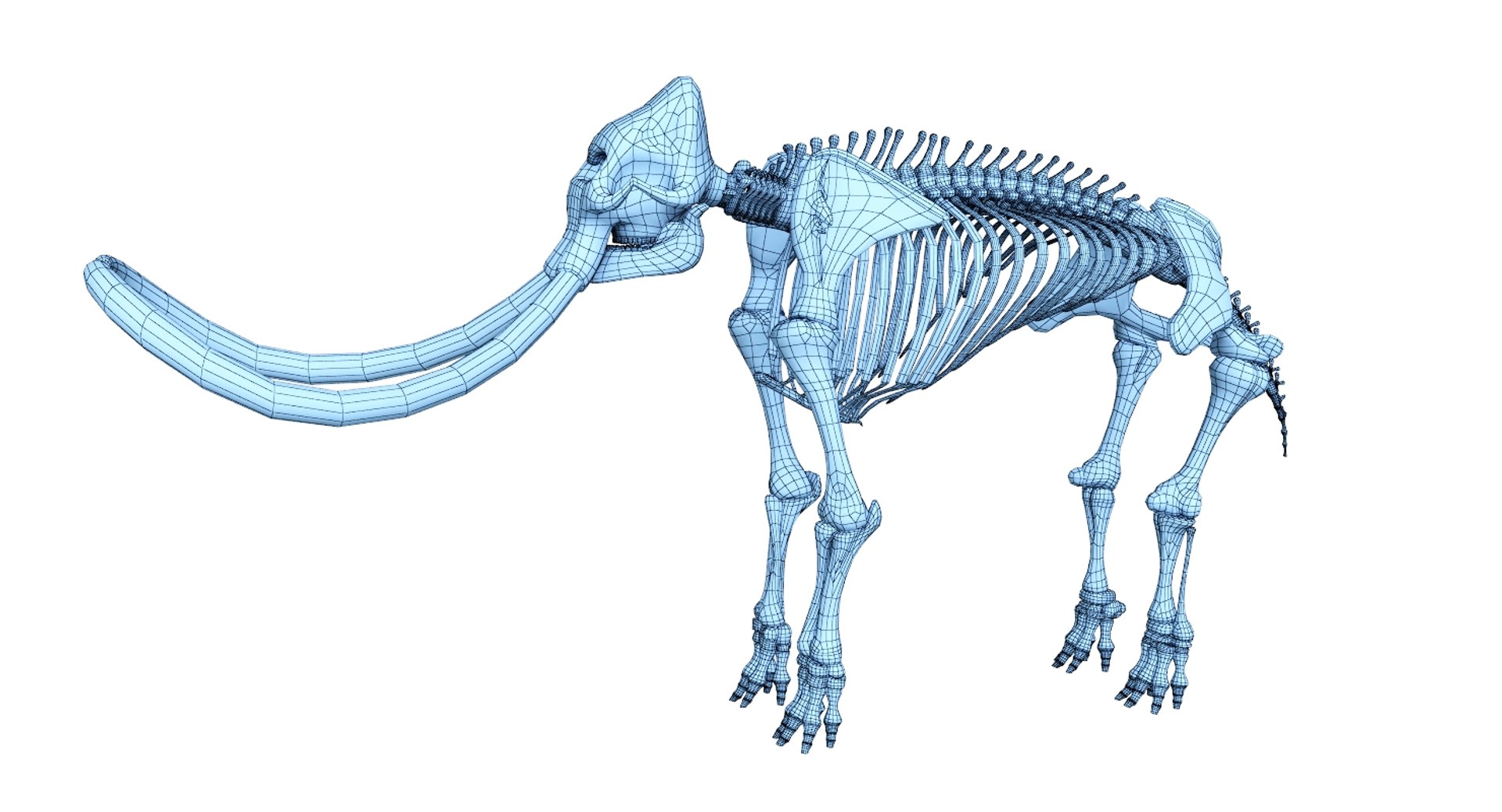 3D 9 armadillo bison https://p.turbosquid.com/ts-thumb/Qt/bouK5S/qjTF7fb8/net/jpg/1547136561/1920x1080/fit_q87/379c1a9e9afd9ced906ccb3d2e178acba0b19ad4/net.jpg