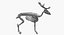 Animal Skeleton 9 in 1