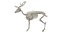 Animal Skeleton 9 in 1