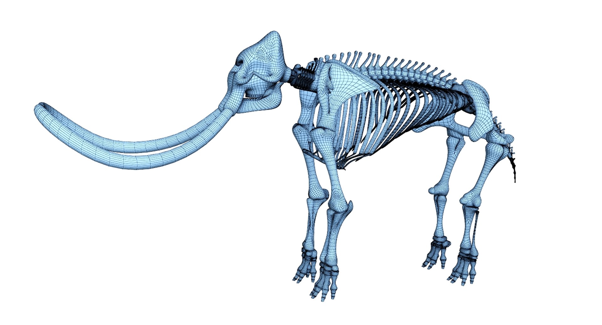 3D 9 armadillo bison https://p.turbosquid.com/ts-thumb/Qt/bouK5S/uJVjHCOD/net1/jpg/1547136561/1920x1080/fit_q87/91da35f1058d222cc1437ccfc4acd8566a5a991a/net1.jpg