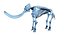 Animal Skeleton 9 in 1
