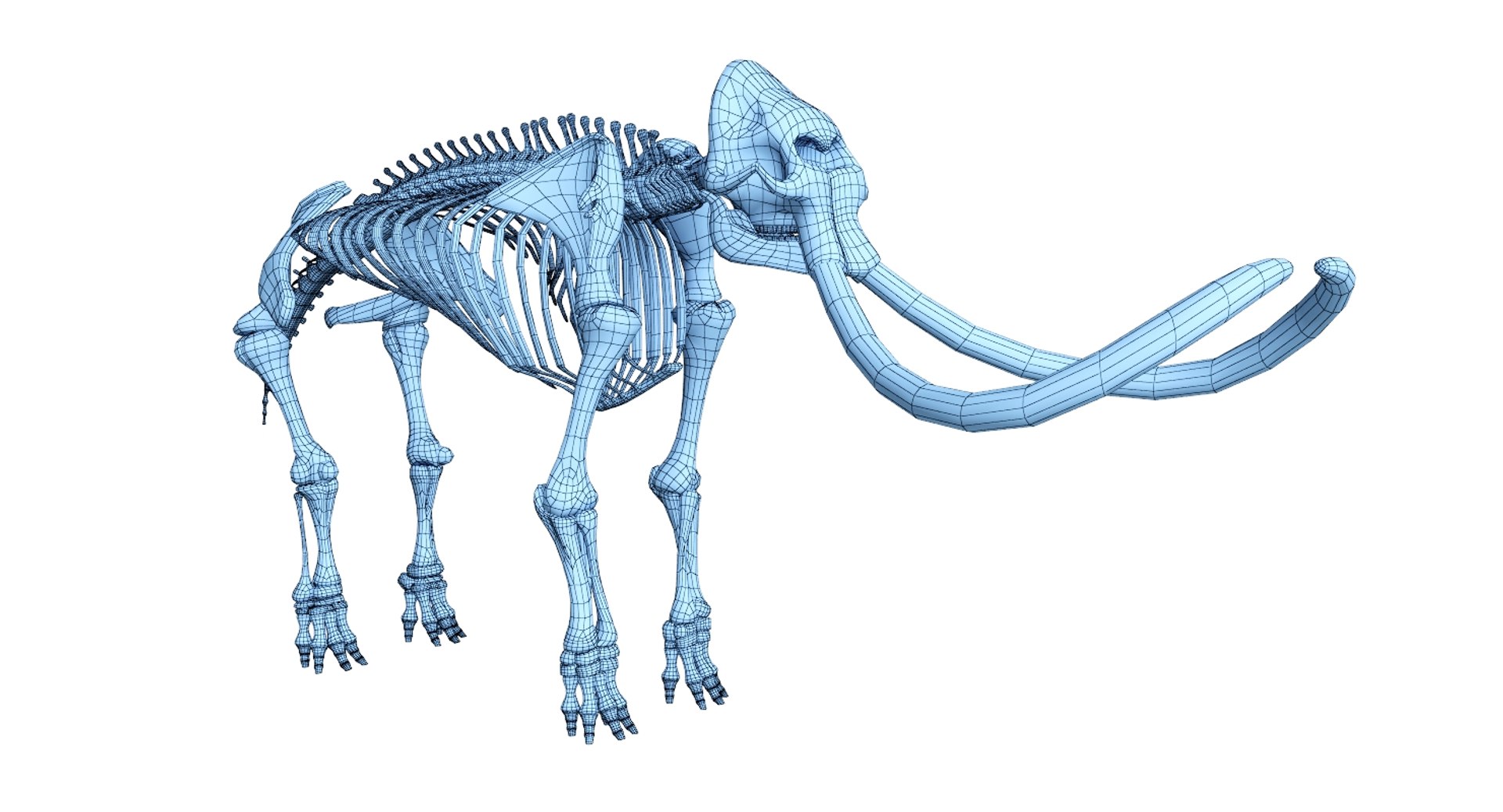 3D 9 armadillo bison https://p.turbosquid.com/ts-thumb/Qt/bouK5S/y4pe888x/12/jpg/1547136561/1920x1080/fit_q87/624219c069755958cc6a41cd5bbb2d61b7785211/12.jpg