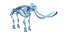 Animal Skeleton 9 in 1