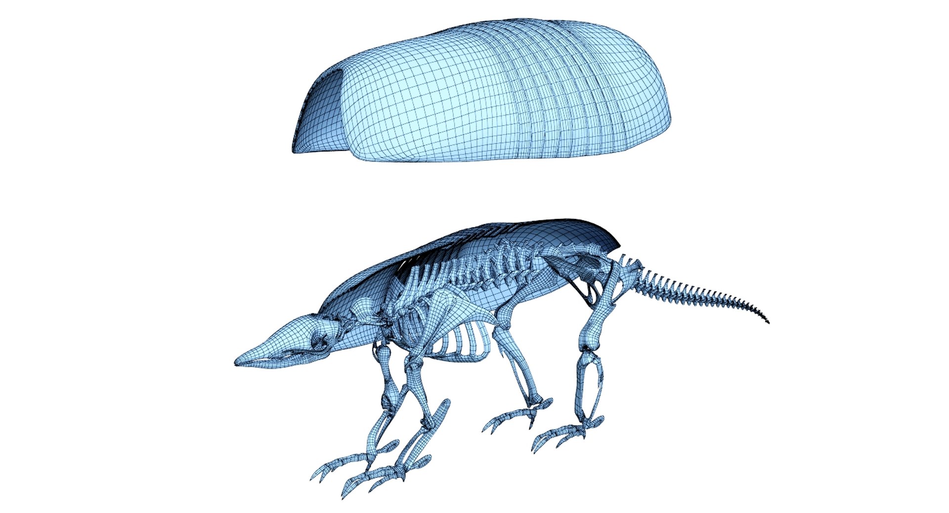 3D 9 armadillo bison https://p.turbosquid.com/ts-thumb/Qt/bouK5S/zY4Nyngr/net0/jpg/1547136541/1920x1080/fit_q87/71cf3d77ee04debe2b5944e0523925abef10a399/net0.jpg