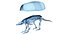 Animal Skeleton 9 in 1