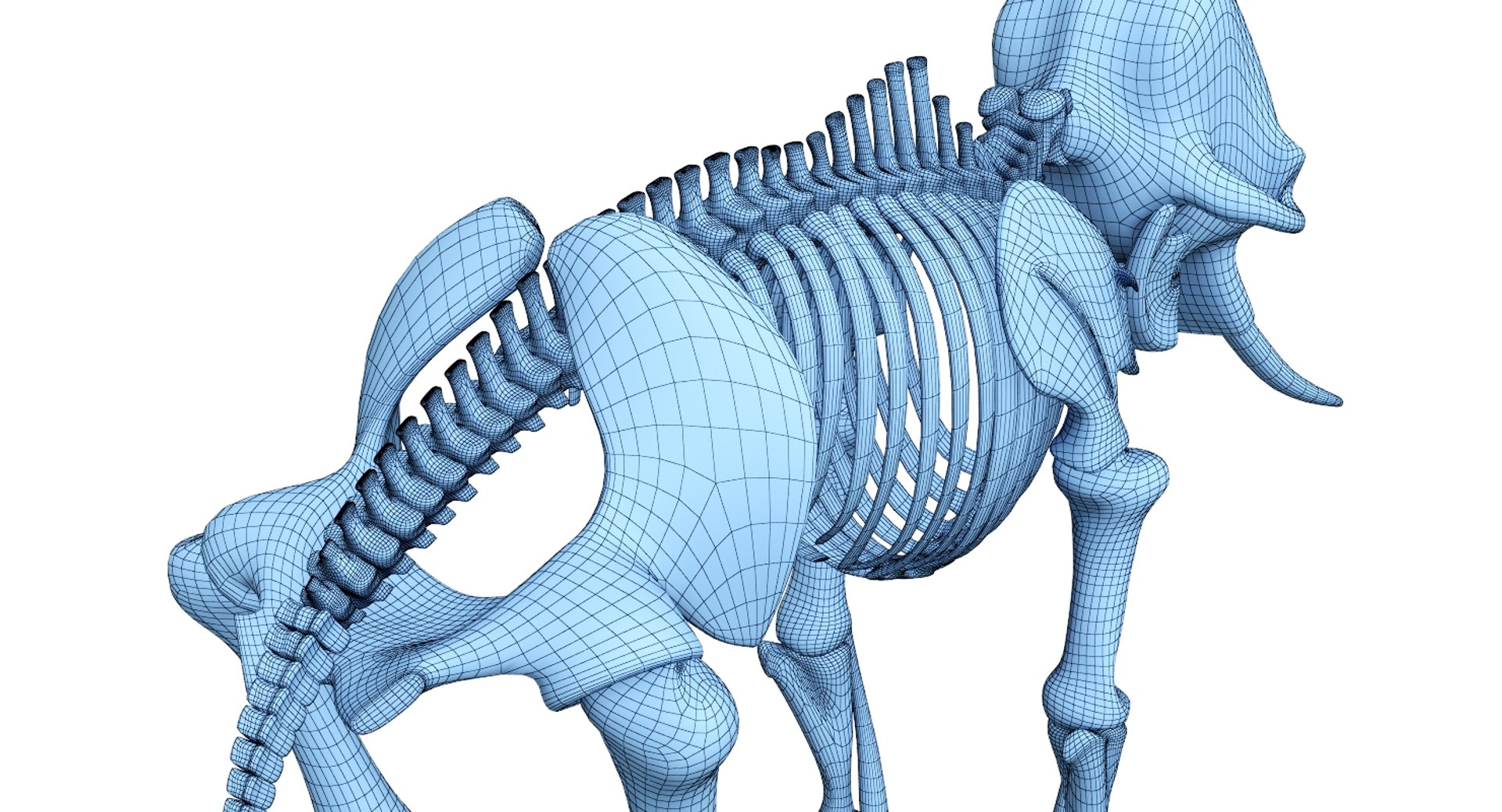 3D 9 armadillo bison https://p.turbosquid.com/ts-thumb/Qt/bouK5S/zxd8bdYK/net4/jpg/1547136511/1920x1080/fit_q87/7f071abd6bbafde55b943eae69068f3e333a19e0/net4.jpg