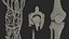 3D knee human anatomy rigged