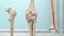 3D knee human anatomy rigged
