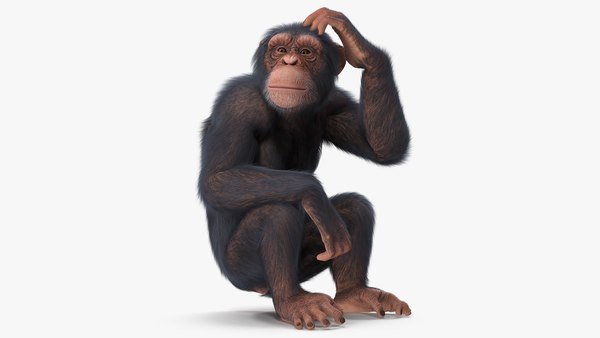 Macaco chimpanzé com pele Modelo 3D $79 - .3ds .fbx .max .obj - Free3D