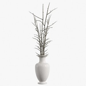 Vase with Branches