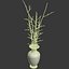 Vase with Branches