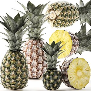 Pineapple Fruit Set