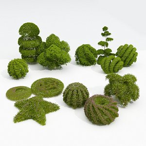 3D Garden  topiary trees and shrubs model