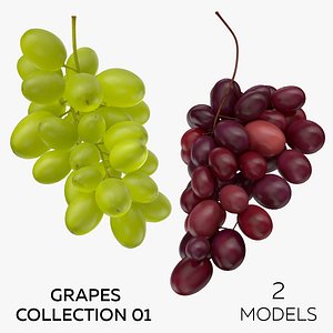 Grapes Collection 01 - 2 models