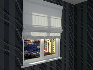 3d roman shade