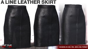 A Line Leather Skirt