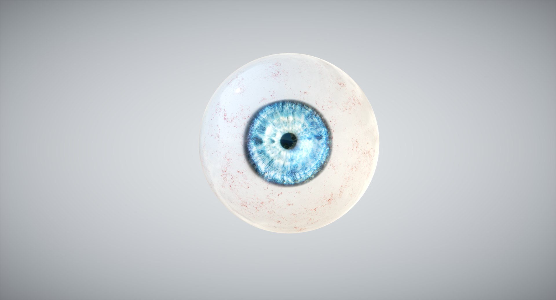 3D Model Octane Render - TurboSquid 1193750