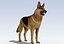 German Shepherd Dog Rig