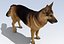 German Shepherd Dog Rig
