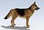 German Shepherd Dog Rig