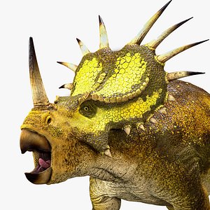 Styracosaurus Rigged