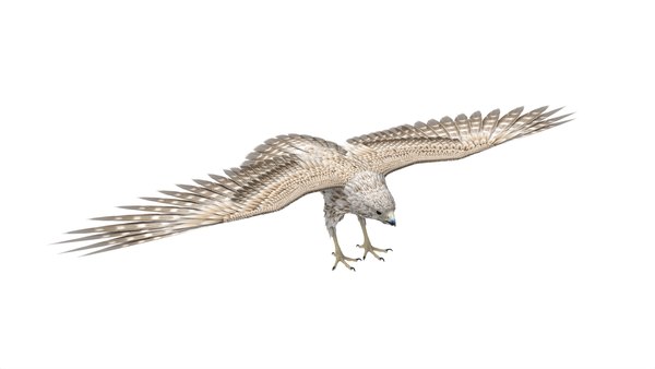 modelo 3d Falcon - TurboSquid 2081175