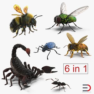 3d rigged insects bumblebee beetle model