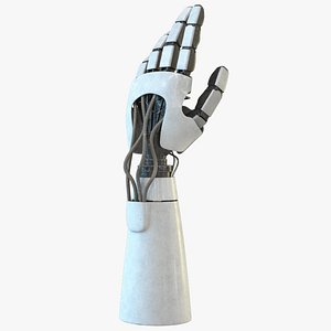 Robot Hand High Quality Photorealistic 3D Model
