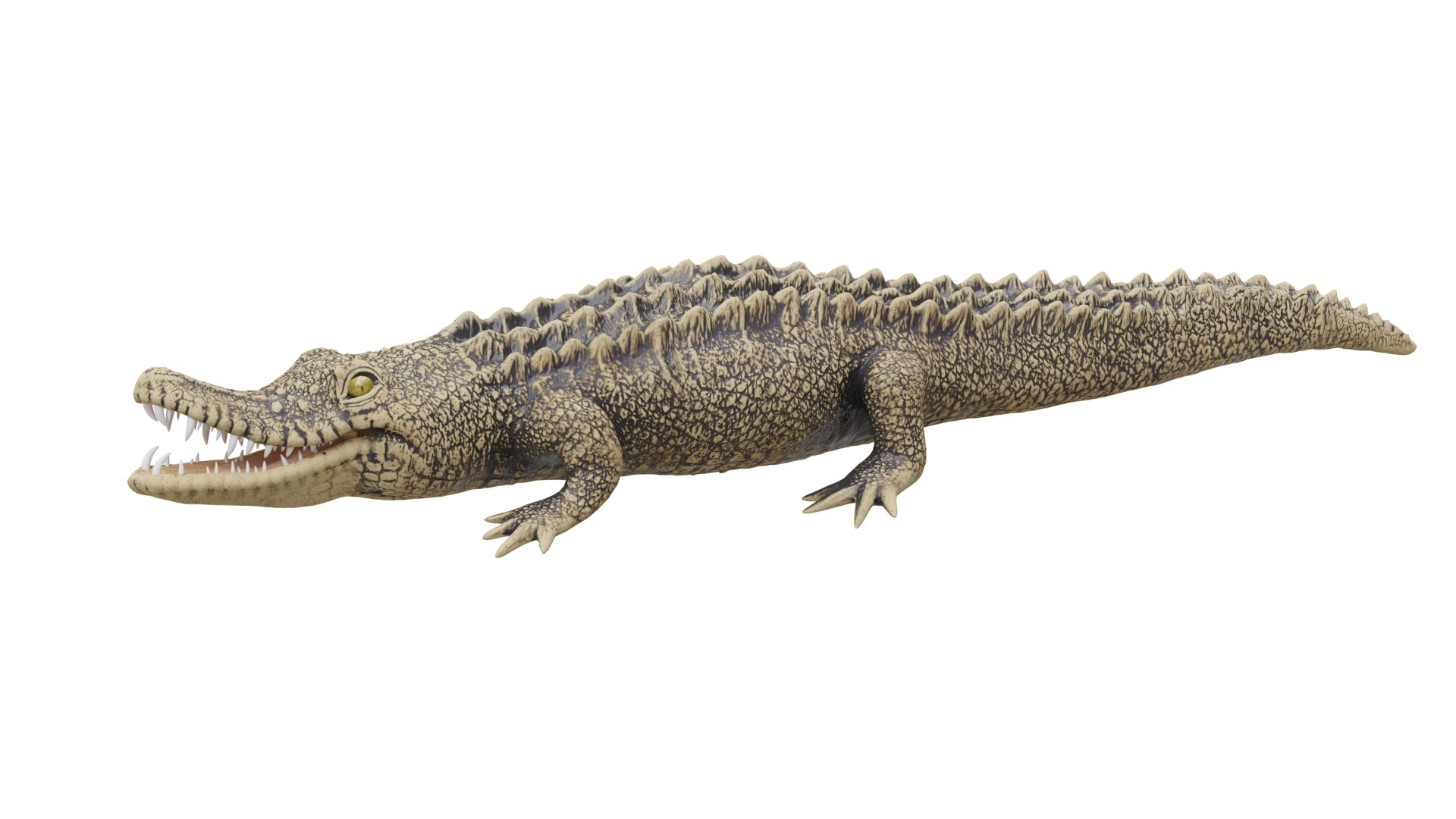 3D Crocodile 3D Model - TurboSquid 2064135