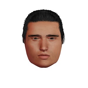 adult male head 3D model